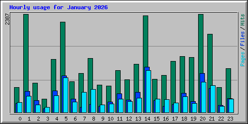 Hourly usage for January 2026