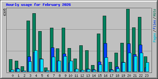 Hourly usage for February 2026
